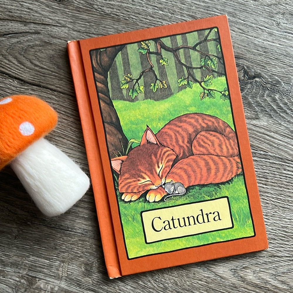 ♻️3/$21♻️ VINTAGE SERENDIPITY BOOK Catundra by Stephen Cosgrove 1970’s